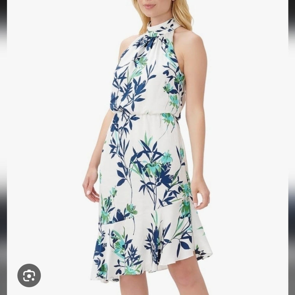 Adrianna Papell Blue and Green Floral Midi Dress